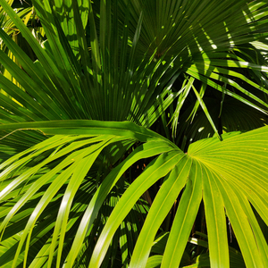 国产真实亲子伦脏话对白免费影视
